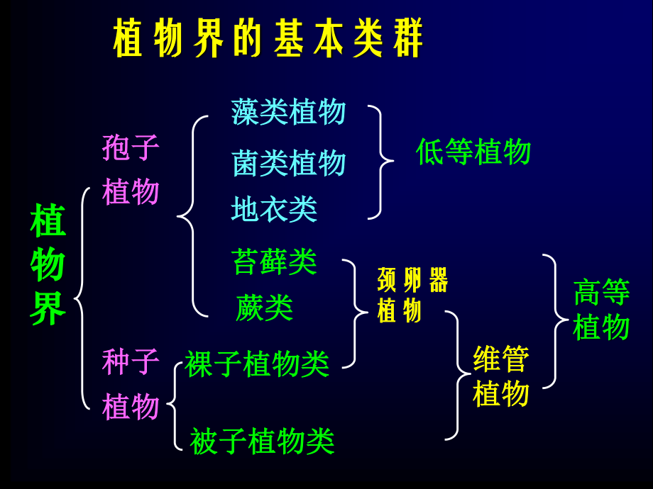 药植被子植物-(2010本).ppt_第2页