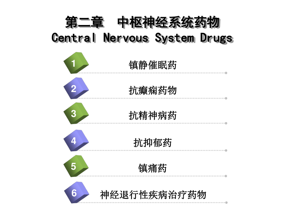 本科业余药化02.ppt_第2页