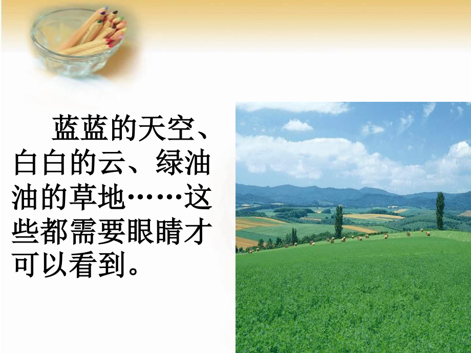 大班健康：明亮的眼睛.ppt_第3页