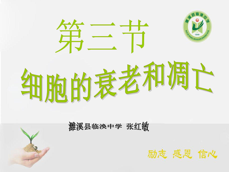 必修1-分子与细胞-第3节-细胞的衰老和凋亡-(1).ppt_第3页