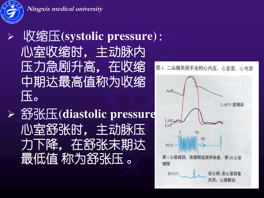 血管检查及常见病.ppt_第3页