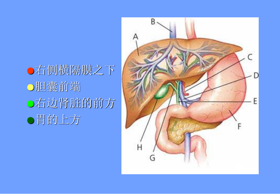 慢性乙型肝炎防治知识Ⅰ.ppt_第3页