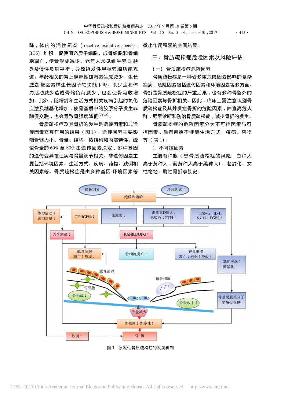 原发性骨质疏松症诊疗指南(-2017).pdf_第3页