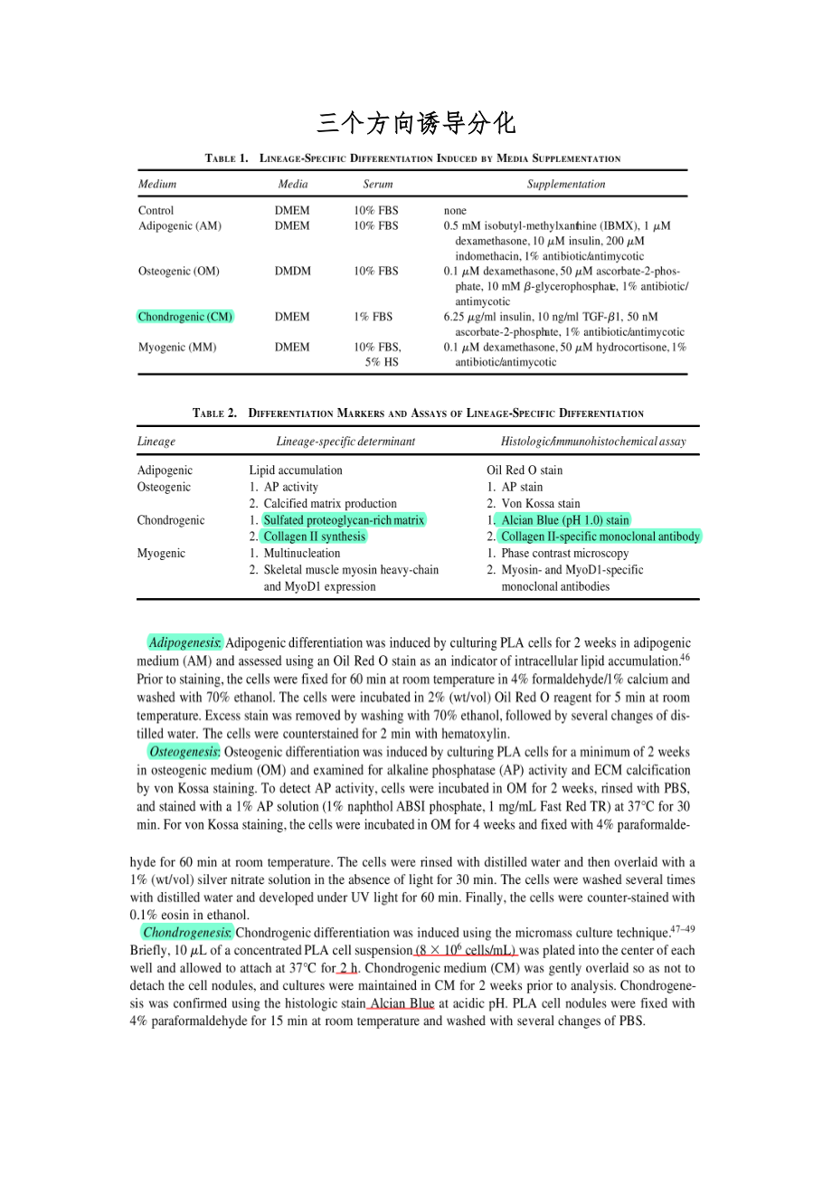 干细胞成骨、成脂、成软骨诱导分化及检测.doc_第1页