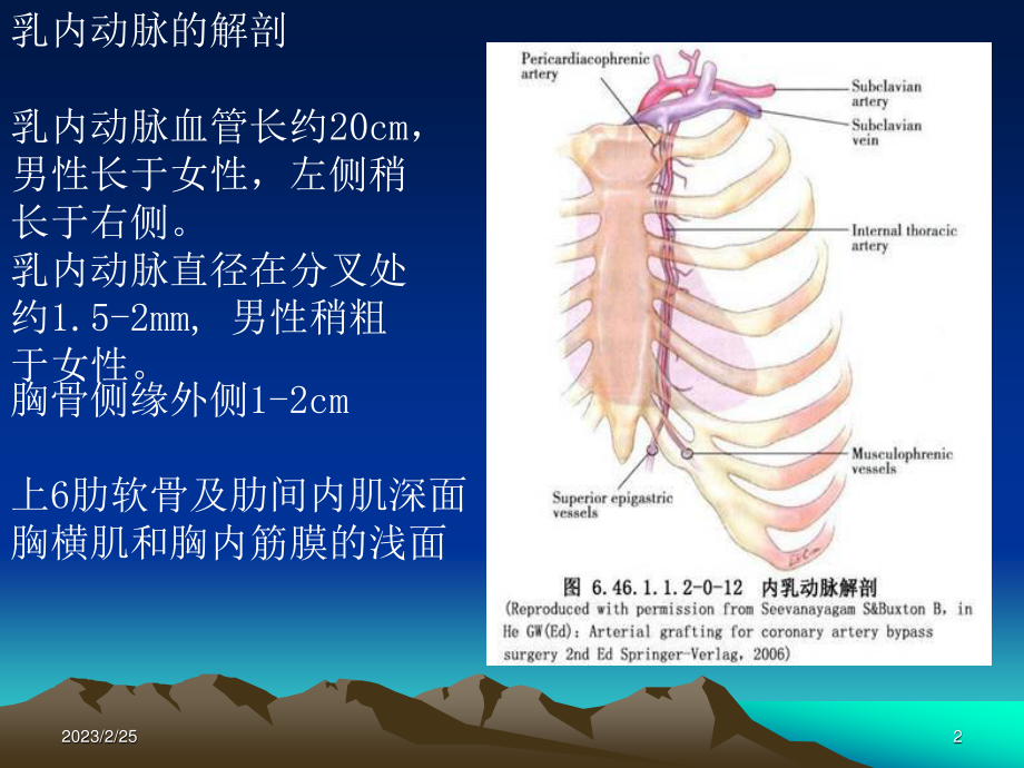 如何获取乳内动脉.ppt_第2页