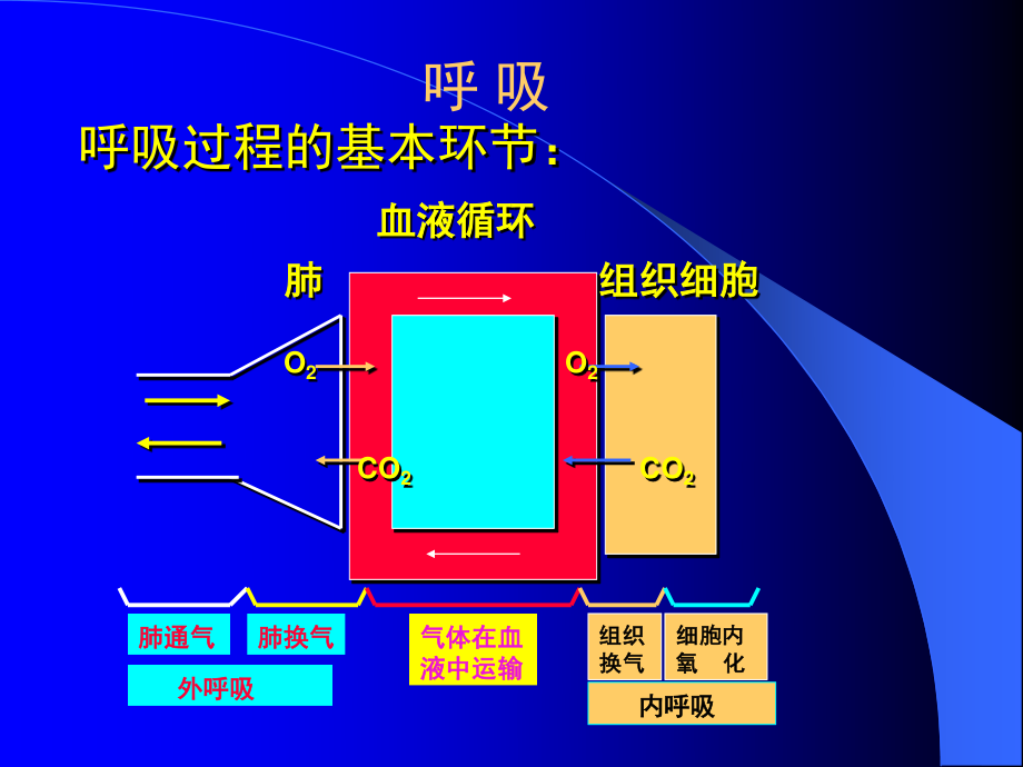 呼吸机的基本知识.ppt_第2页