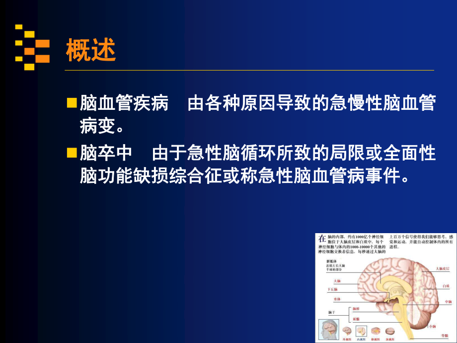 神经病学讲稿第五讲.ppt_第3页