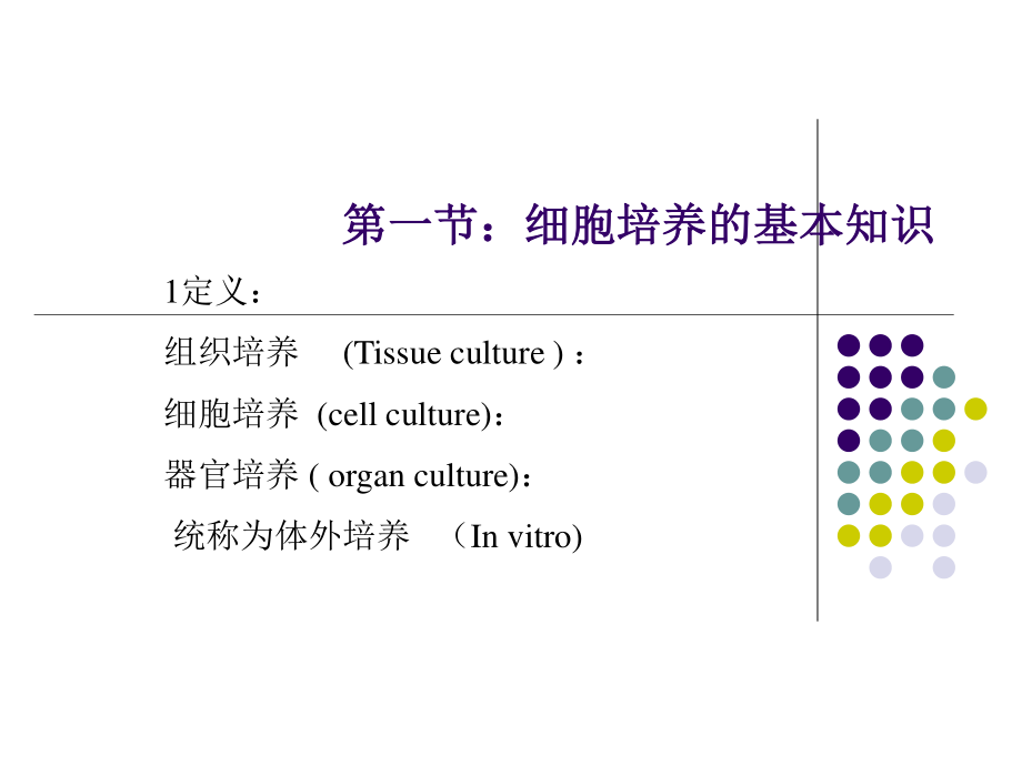 神经细胞培养2.ppt_第2页