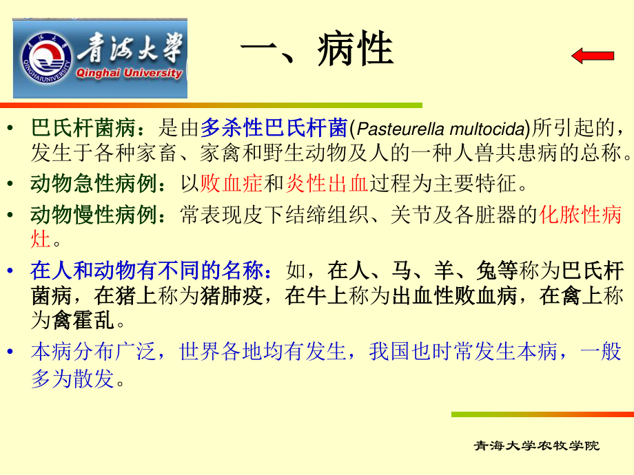 巴氏杆菌病.ppt_第3页