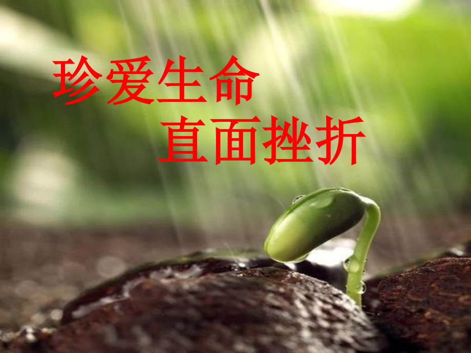 珍爱生命-直面挫折(最后).ppt_第1页