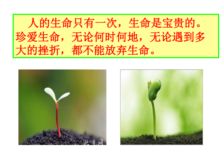 珍爱生命-直面挫折(最后).ppt_第3页