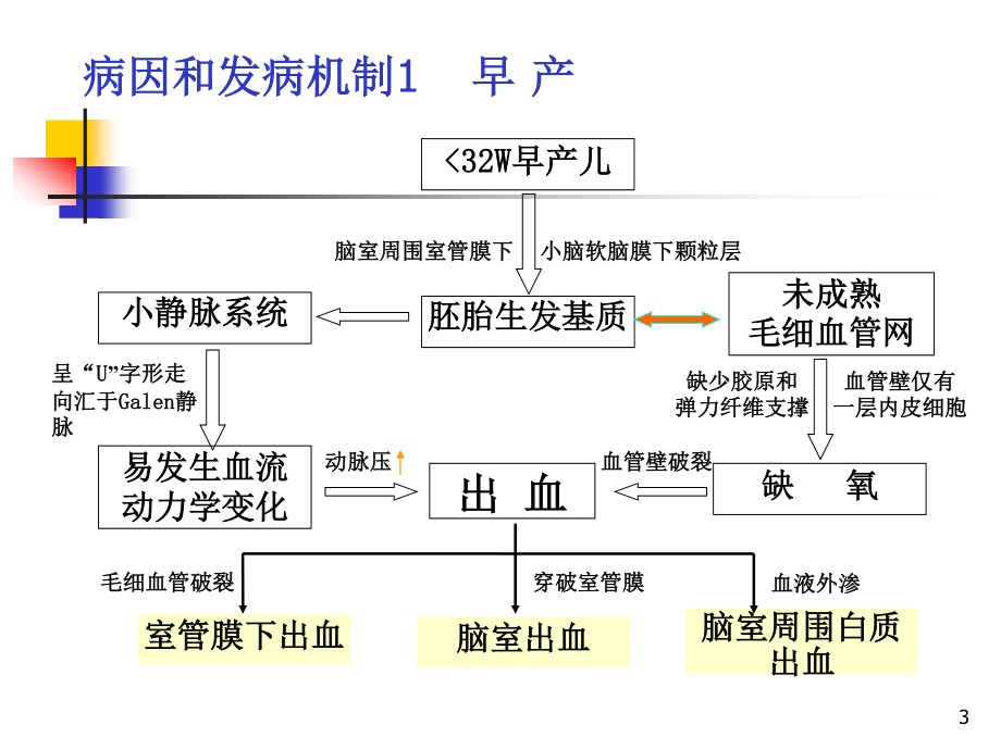 教学查房颅内出血-.ppt_第3页