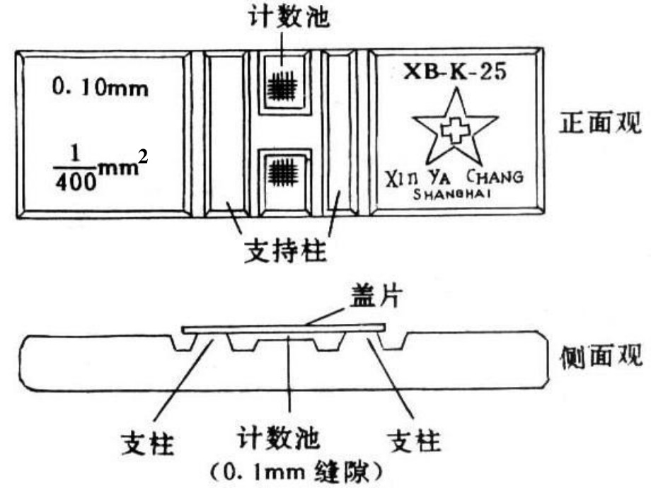 血液学一般检验第二节.ppt_第3页