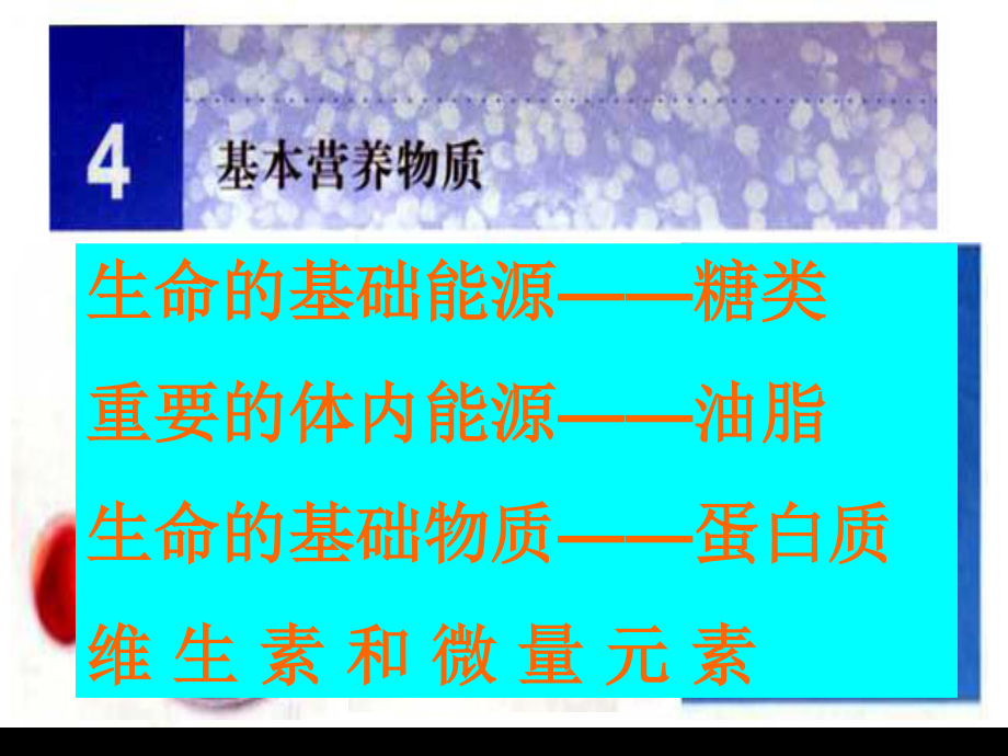 生命的基础物质.ppt_第1页