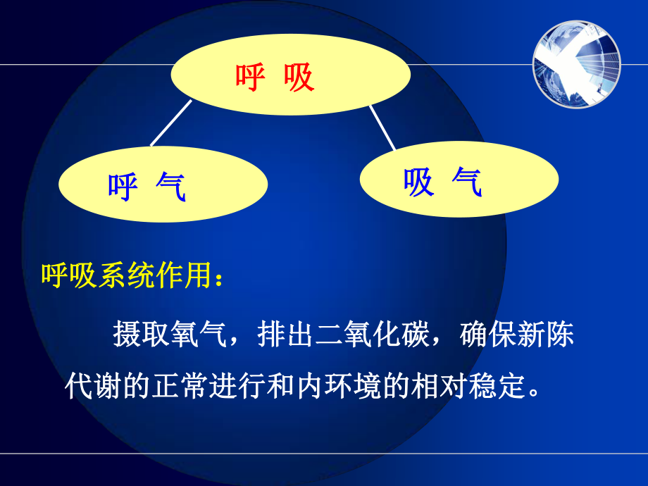 呼吸系统相关知识要点.ppt_第3页