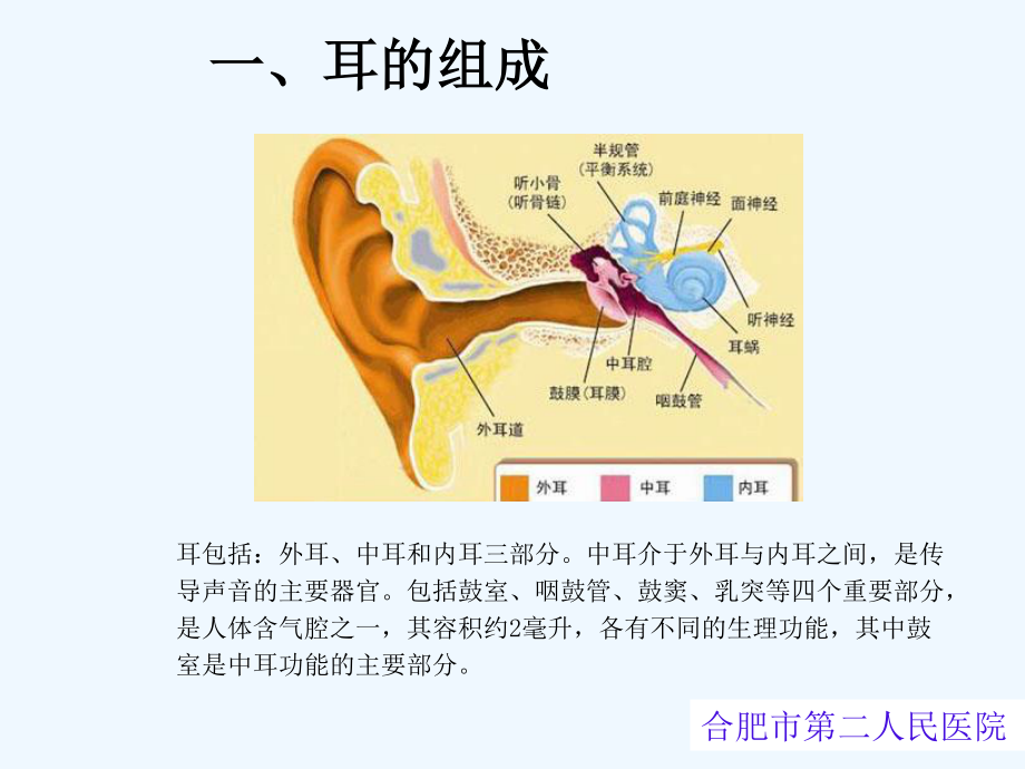 慢性化脓性中耳炎(1).ppt_第2页