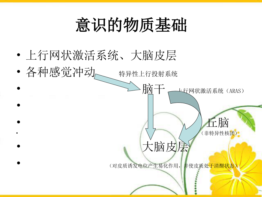 意识障碍的分类.ppt_第3页