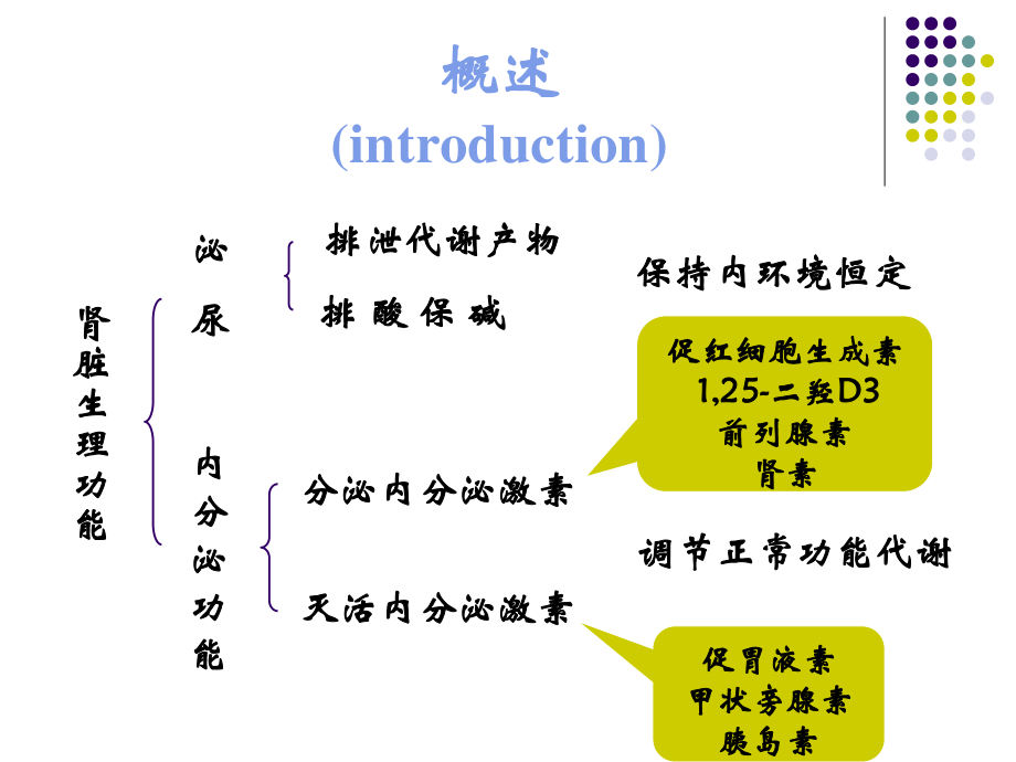 酸中毒氮质血症→脱水.ppt_第2页