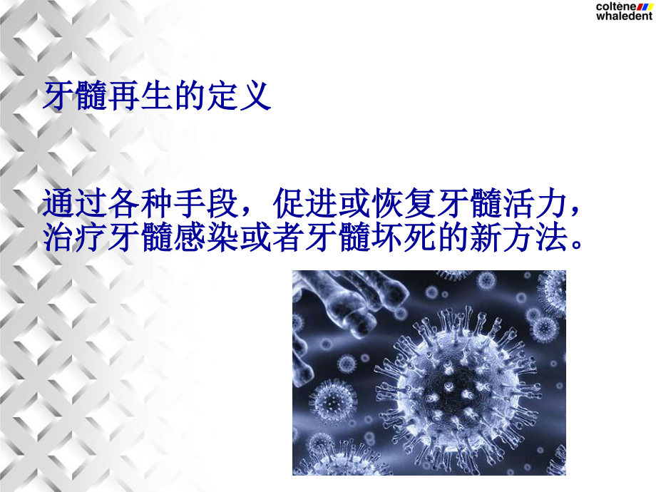 牙髓血运重建术.ppt_第3页