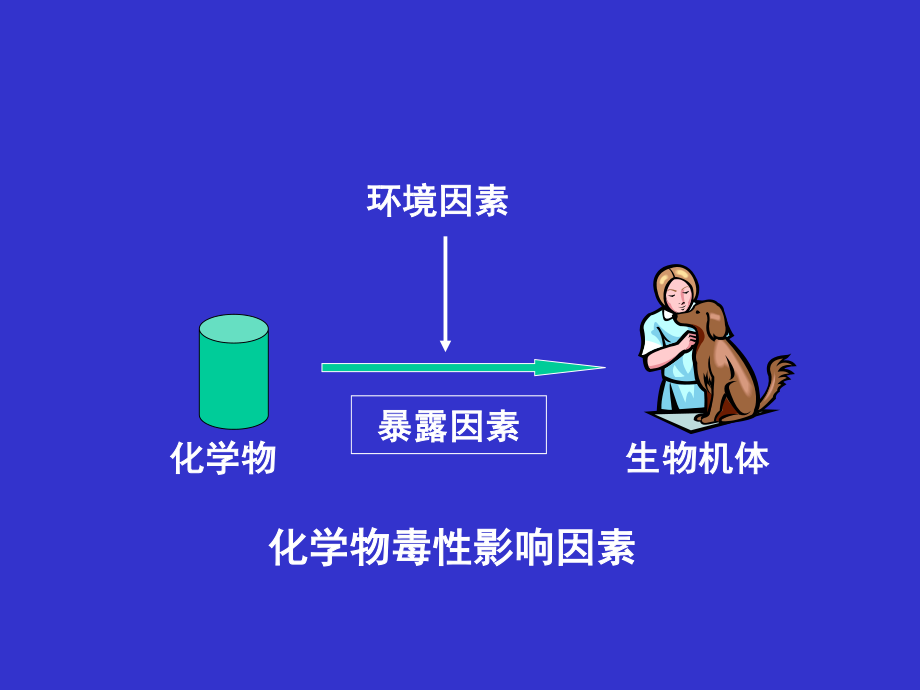 毒性影响因素..ppt_第2页