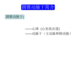 胎儿心脏锥干畸形有动画.ppt