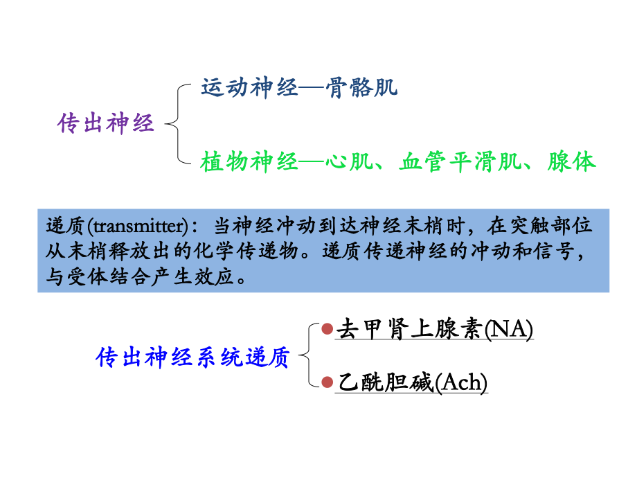 本科业余药化03.ppt_第3页