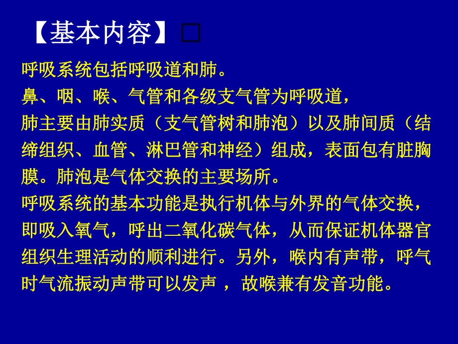 呼吸系统16概要.ppt_第3页