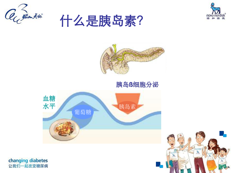 患教3-我的好帮手胰岛素.ppt_第3页