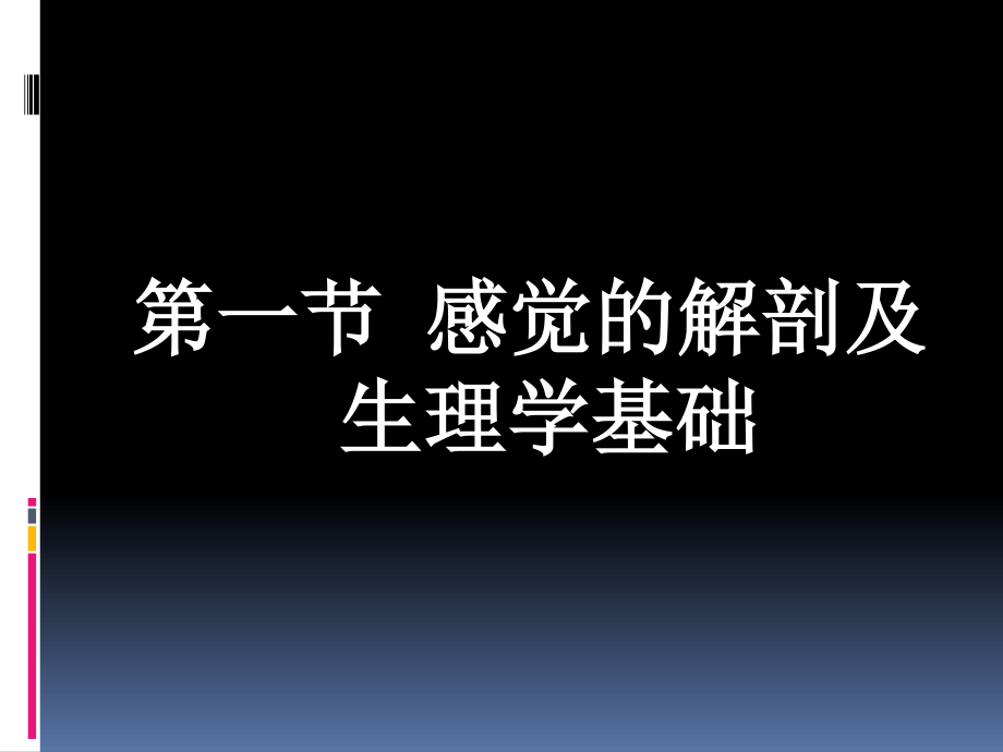 感觉障碍及评定.ppt_第2页