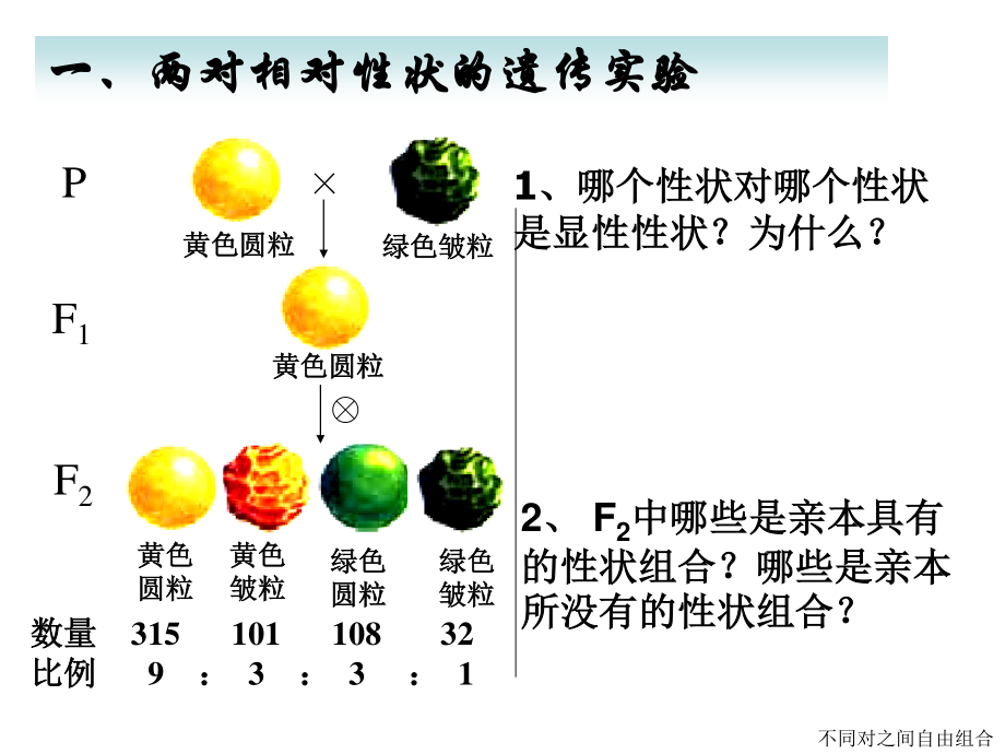 妈妈和姐姐都是单眼皮我是双眼皮猜猜我爸爸是双眼皮还.ppt_第3页