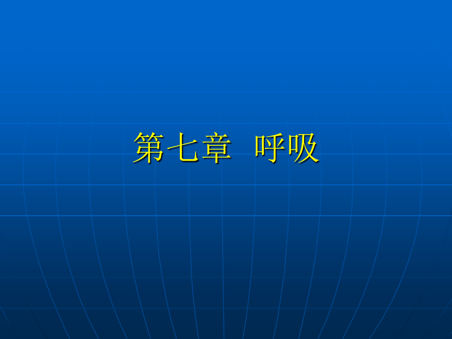 呼吸过程(精).ppt_第1页