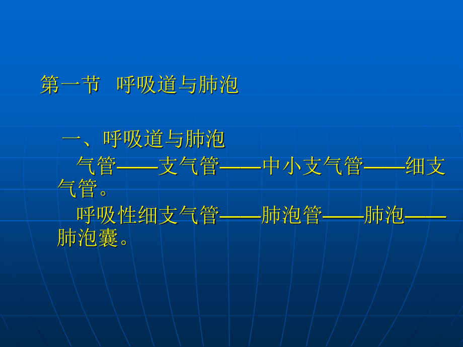 呼吸过程(精).ppt_第3页