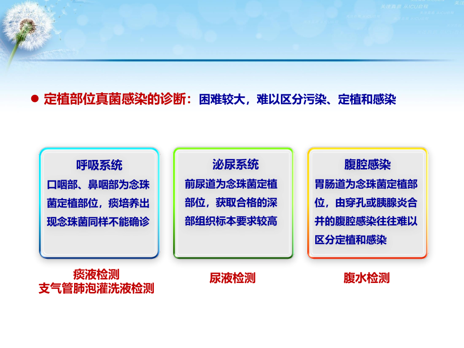 念珠菌定植与感染的关系.pptx_第2页