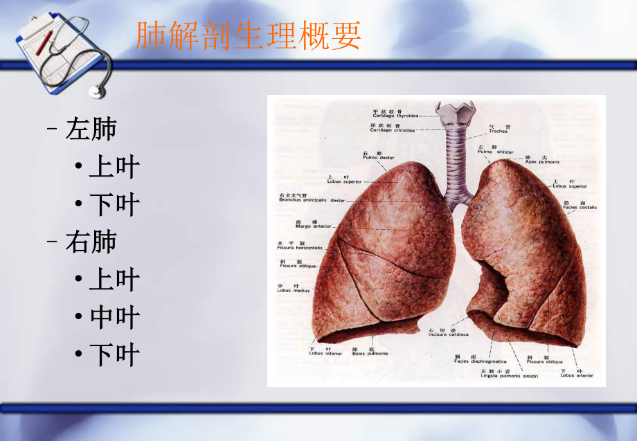 教学查房(肺癌).ppt_第2页