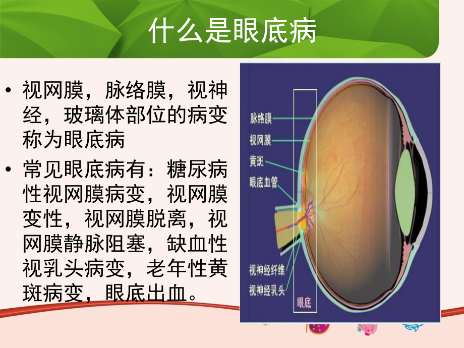 复方血栓通胶囊眼科幻灯片--基药.ppt_第3页