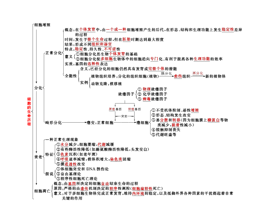 必修1--第五单元--第二讲--细胞的分化、衰老、凋亡和癌变.ppt_第3页