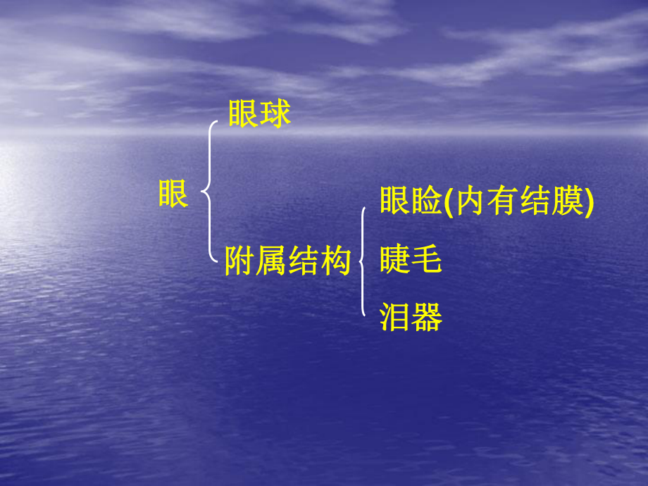 眼与视觉.ppt_第3页