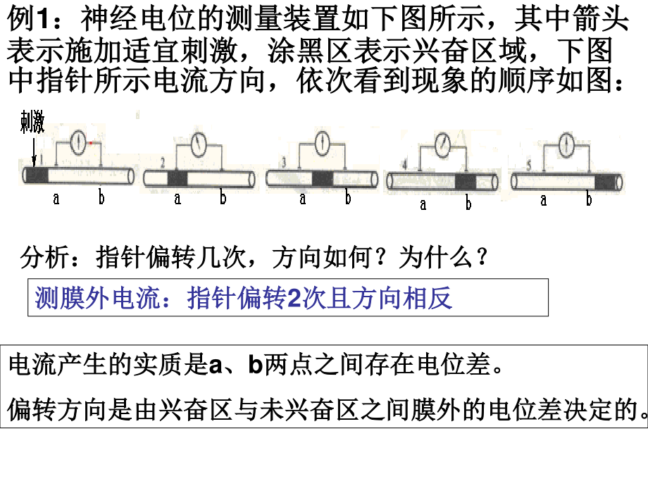 神经调节膜电位变化及其测量考题例析.ppt_第1页