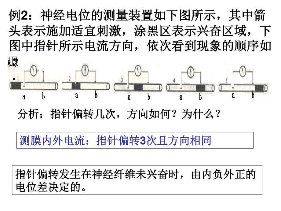 神经调节膜电位变化及其测量考题例析.ppt_第2页