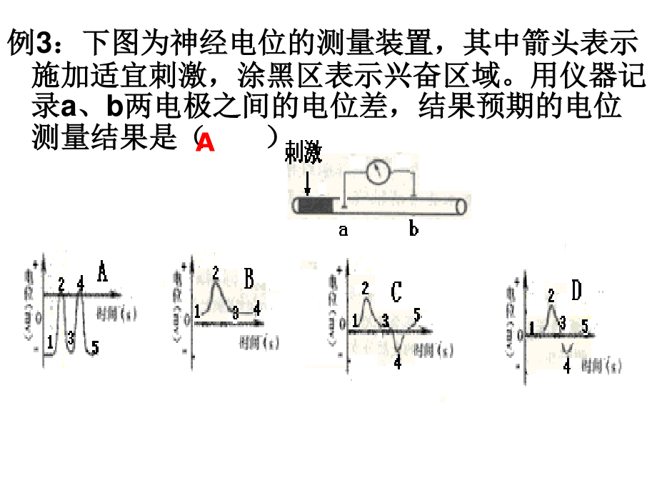 神经调节膜电位变化及其测量考题例析.ppt_第3页