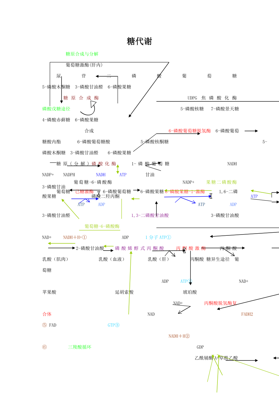 四大营养代谢途径.doc_第1页