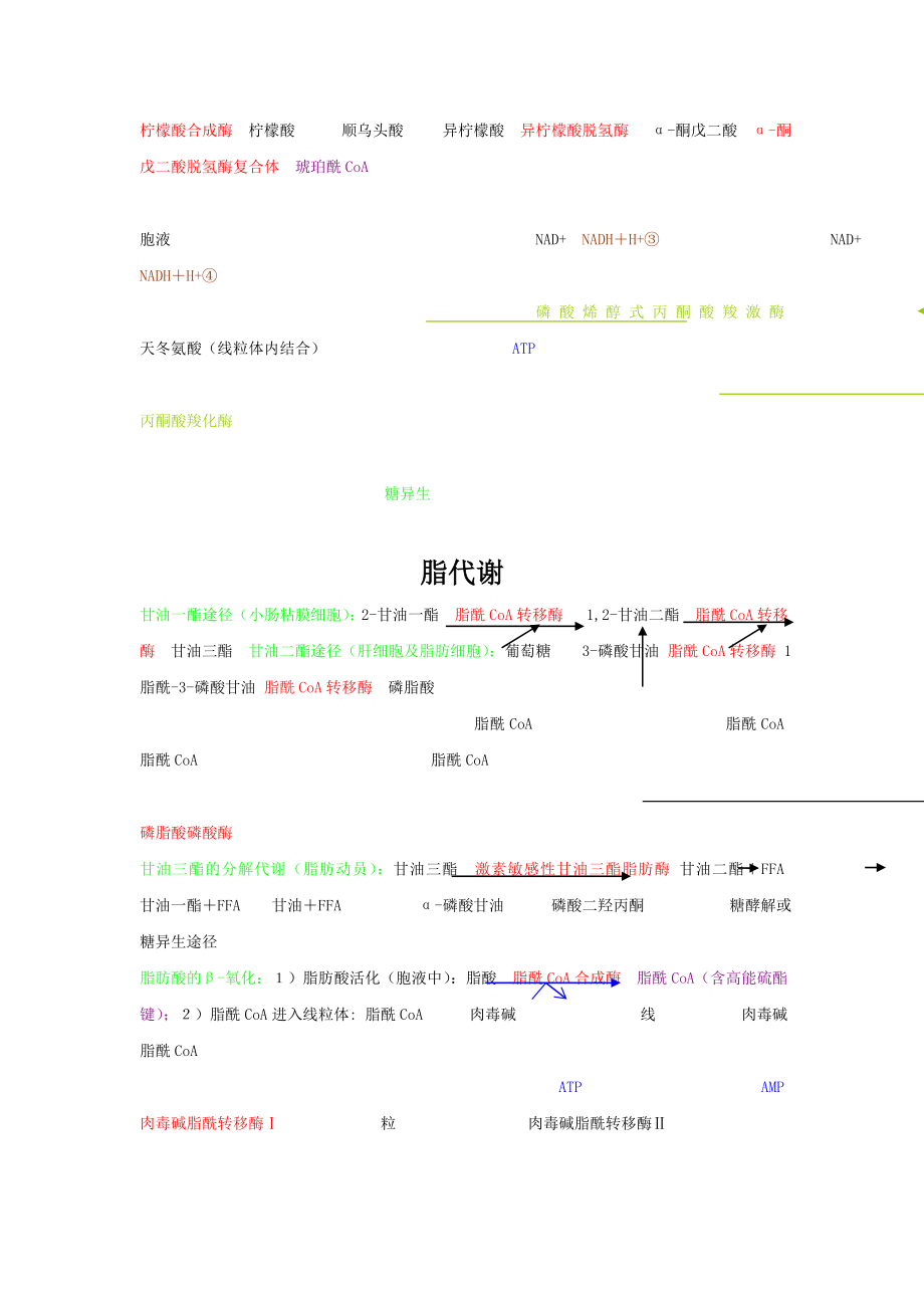 四大营养代谢途径.doc_第2页