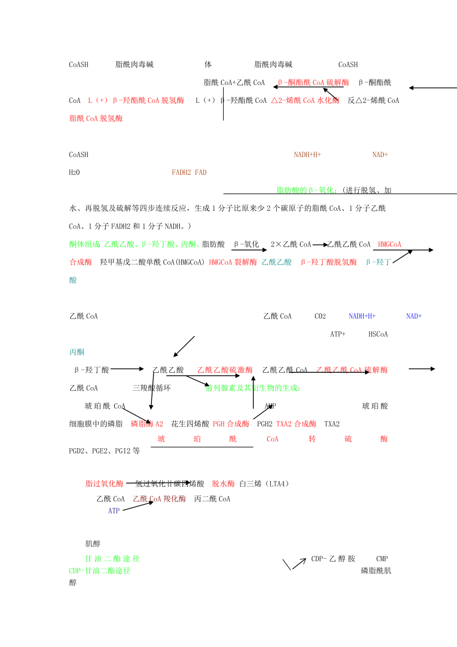 四大营养代谢途径.doc_第3页