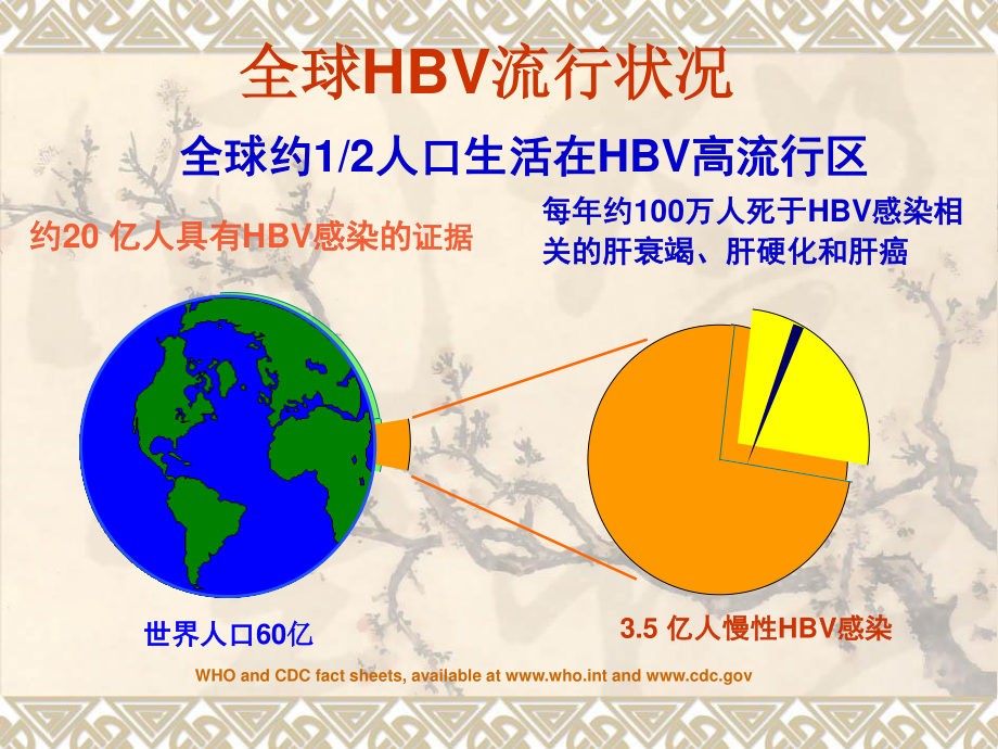 慢性乙肝防治指南.ppt_第3页