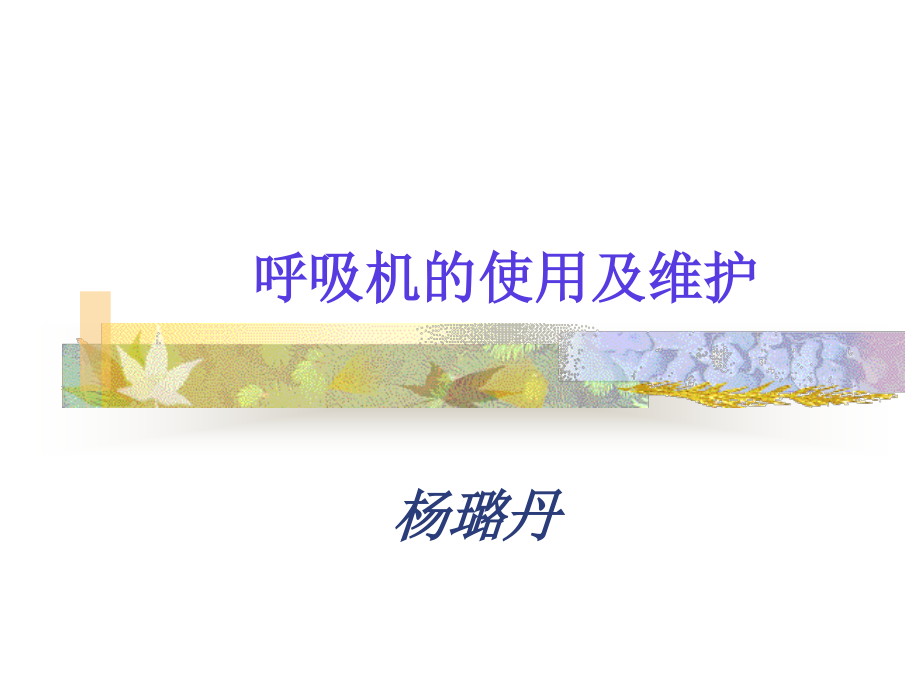 呼吸机的使用及维护.ppt_第1页