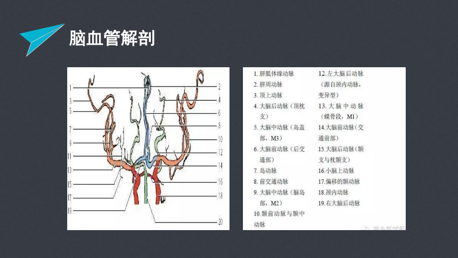 急性脑梗塞的责任血管判定.pptx_第3页