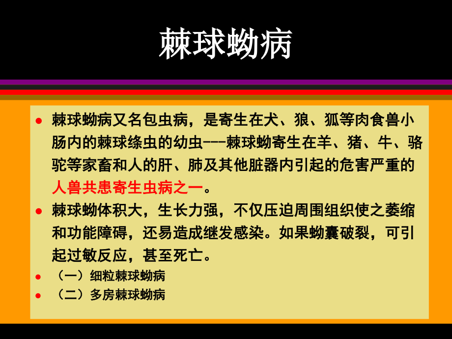 棘球蚴病ok.ppt_第2页