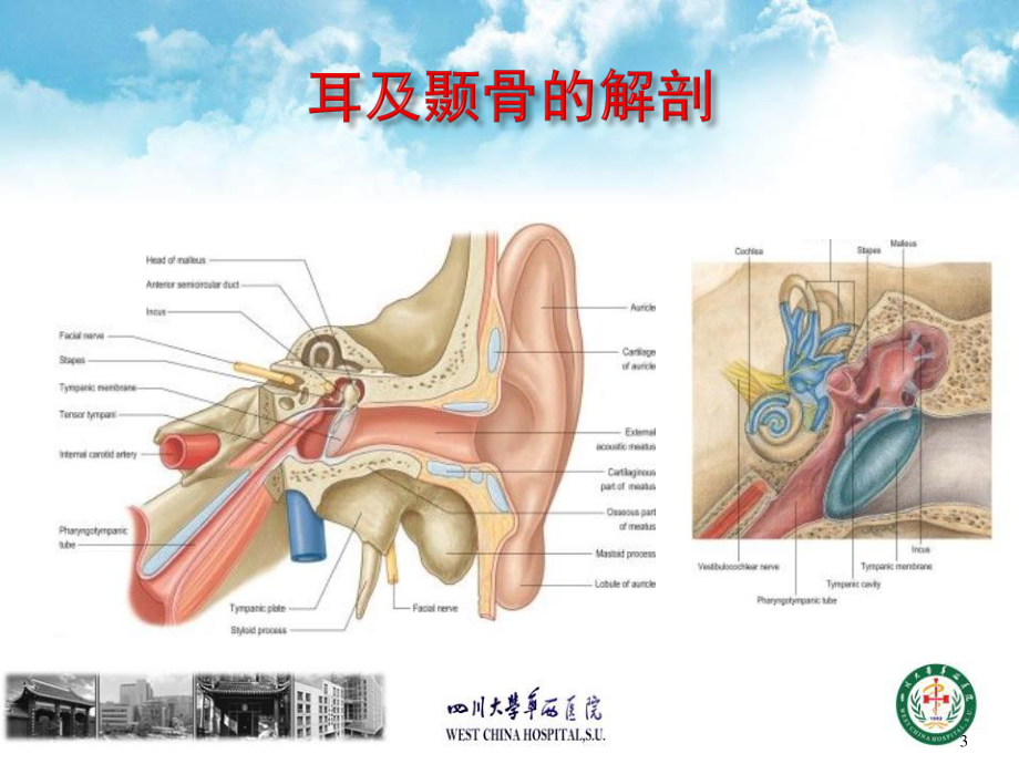 视频链接3耳聋deafnesshearingloss-四川大学.ppt_第3页