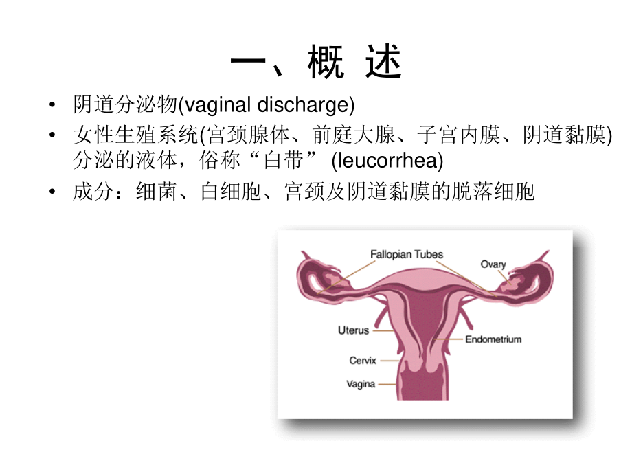 学时-生殖系统体液血糖血脂.ppt_第2页