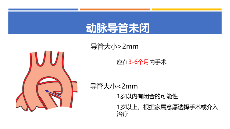 常见先天性心脏病手术时机选择.pptx_第3页